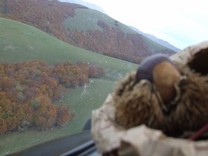 Autunno